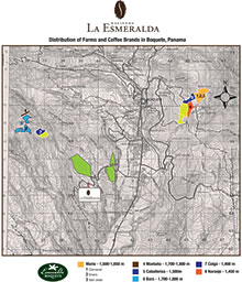 エスメラルダ農園 地図